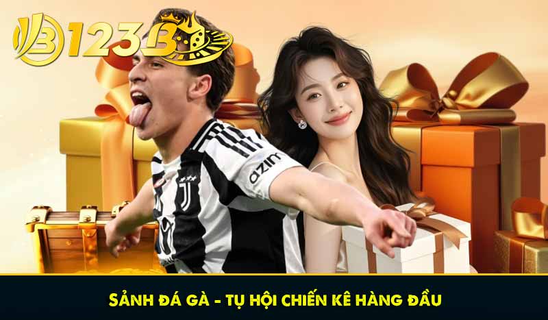TRANG CHỦ 31 Sảnh đá gà – tụ hội chiến kê hàng đầu